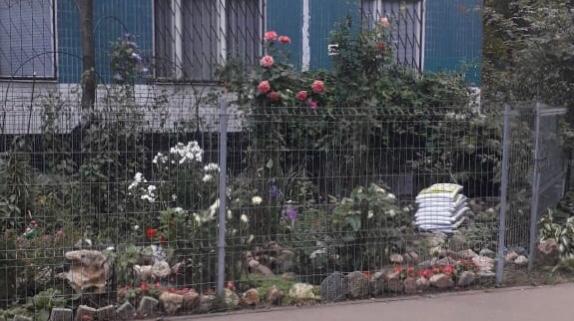 Химкинские чиновники собираются уничтожить цветочный оазис