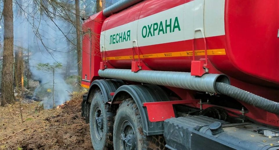 В Московской области закрывается сезон пожаров
