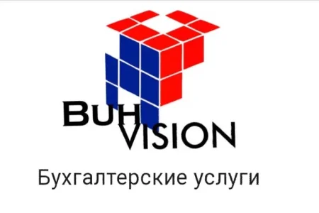 Бухгалтерская компания BuhVision фото 1