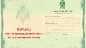 Институт специальной подготовки Академия гражданской защиты МЧС РФ 