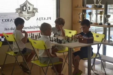 Школа шахмат EduChess на Береговой улице фото 1