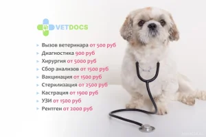 Ветеринарная клиника Vetdocs на улице Академика Грушина фото 2