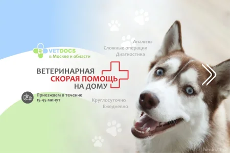 Ветеринарная клиника Vetdocs на улице Академика Грушина фото 9