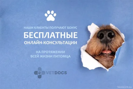 Ветеринарная клиника Vetdocs на улице Академика Грушина фото 11