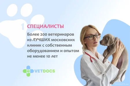 Ветеринарная клиника Vetdocs на улице Академика Грушина фото 8