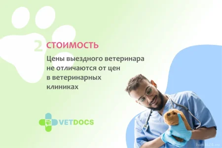 Ветеринарная клиника Vetdocs на улице Академика Грушина фото 4