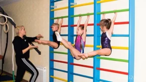 Школа гимнастики Basic gymnastics фото 2
