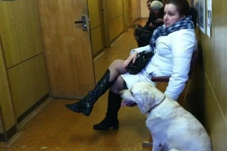 Московской области Химкинская ветеринарная станция фото 4