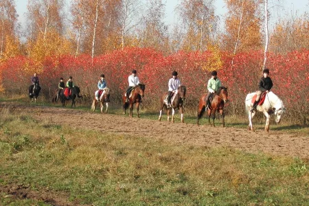 Спортивная школа по конному спорту Пони спорт Планерная фото 1