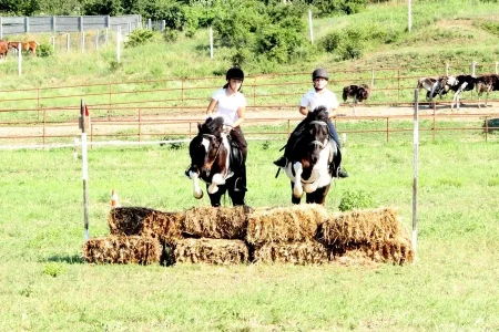 Спортивная школа по конному спорту Пони спорт Планерная фото 2