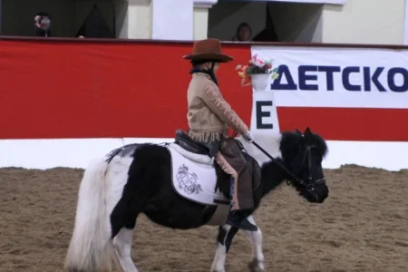Спортивная школа по конному спорту Пони спорт Планерная фото 5