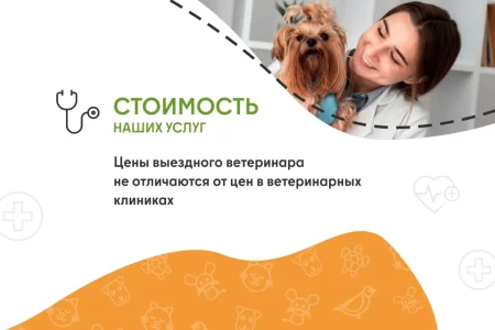 Ветеринарная служба ВетСкорая24 на улице Академика Грушина фото 3
