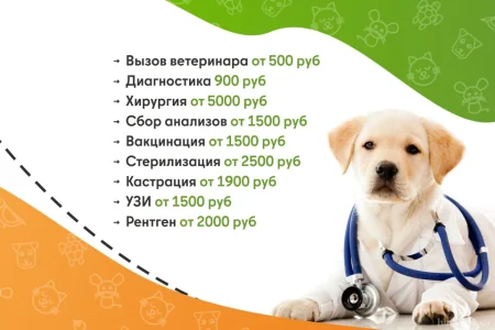 Ветеринарная служба ВетСкорая24 на улице Академика Грушина фото 8